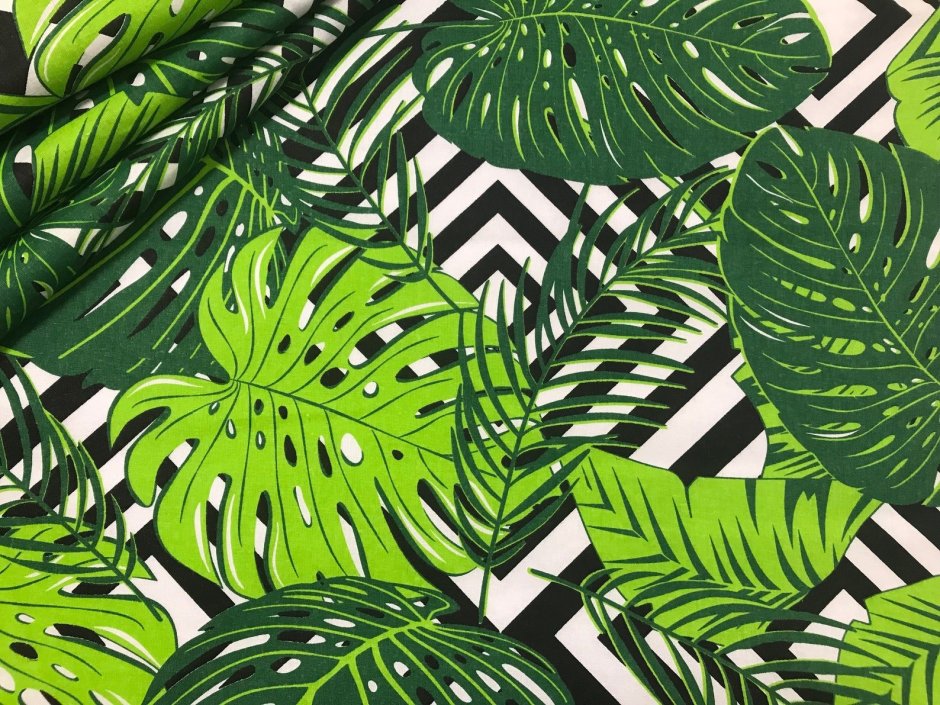 Пальмовые листья Минимализм