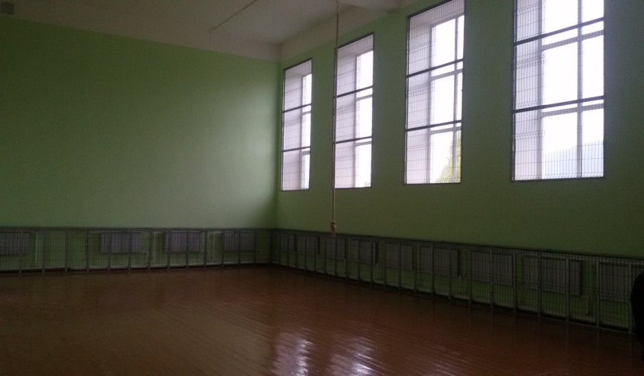 Окна в спортивном зале