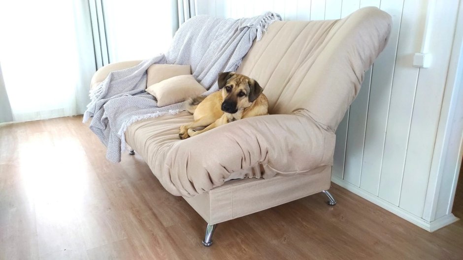 Диван клик кляк ткань Тревел