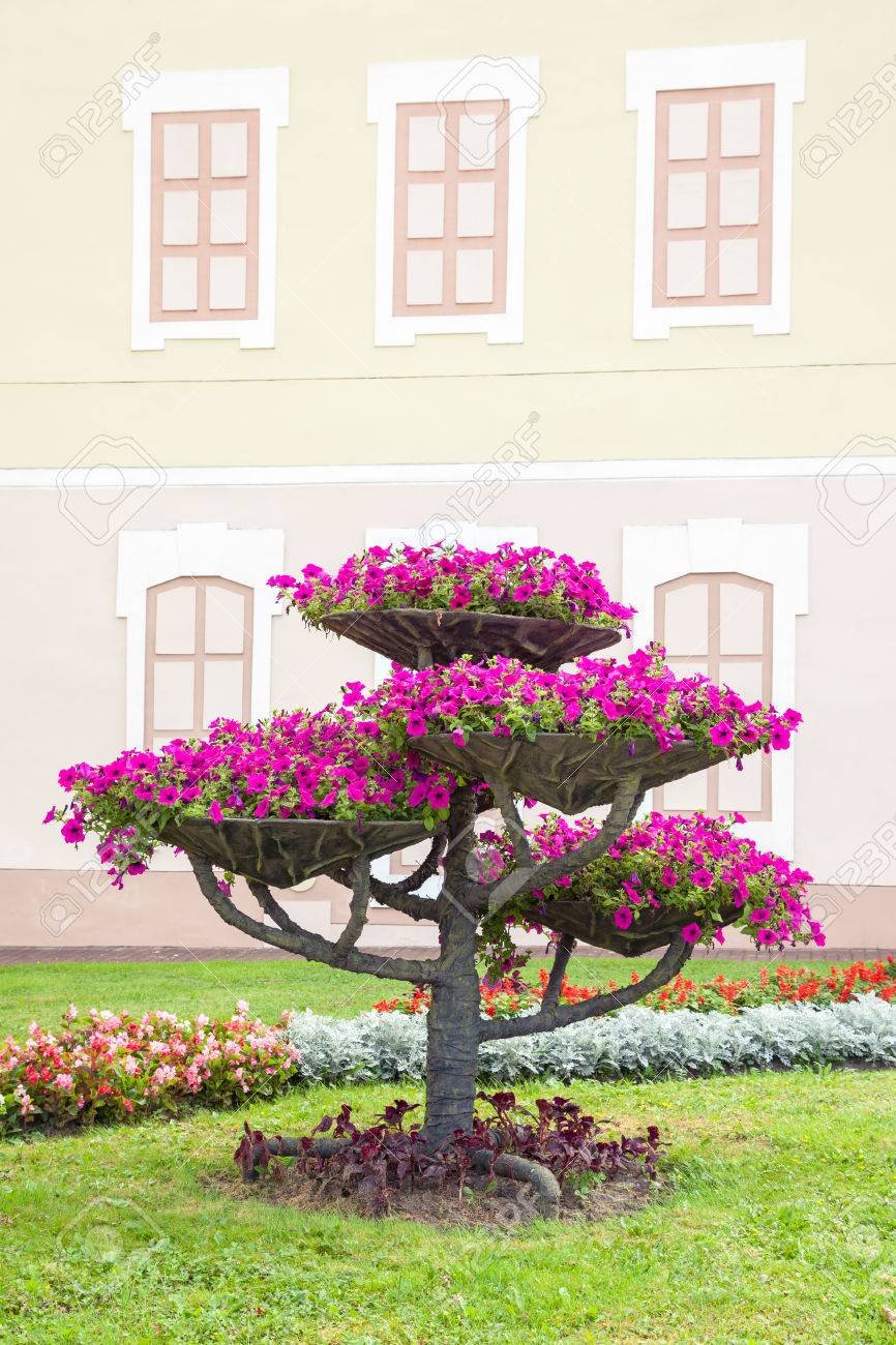 Петуниевое дерево