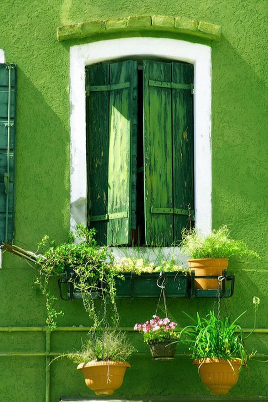 Зеленая дверь в стене