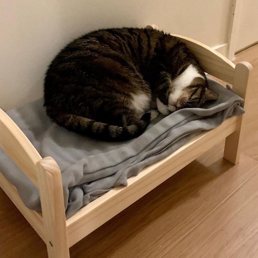 Икеа ДУКТИГ кроватка кошка