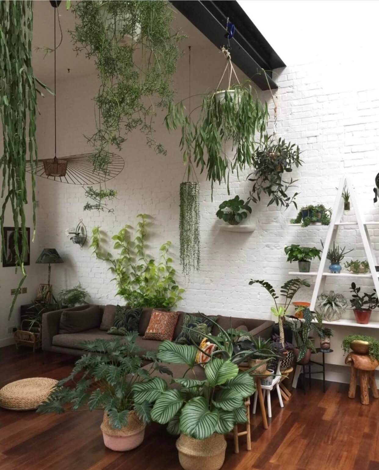 Как разместить комнатные растения в квартире фото