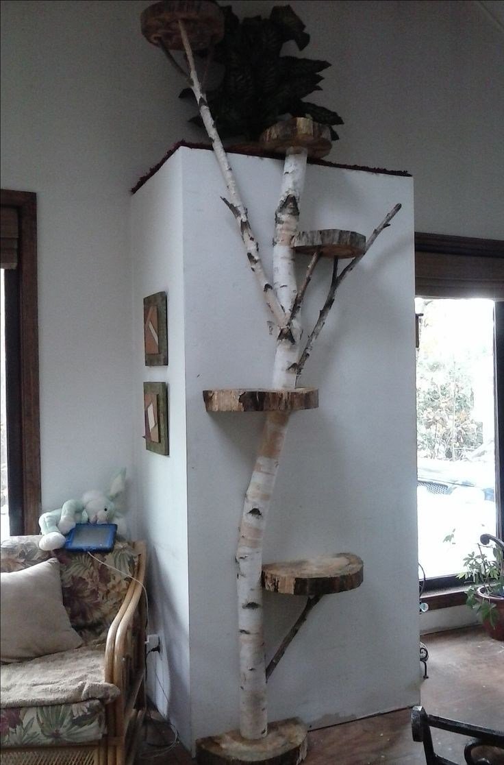 Дерево для кошки в квартире