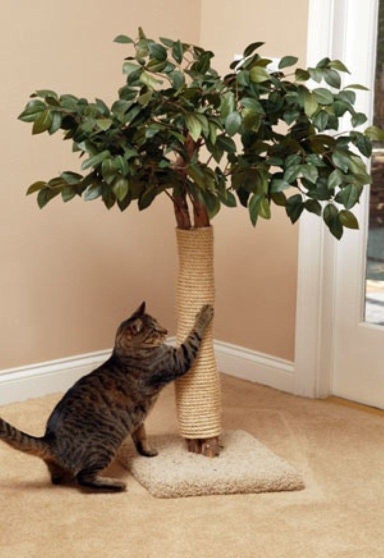 Лазалка для кошек из ствола дерева