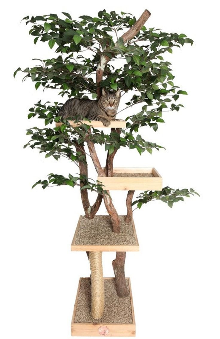Декоративное дерево для кошек