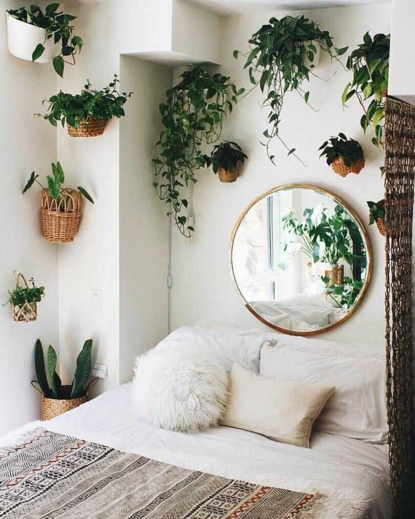 Гостиная с растениями