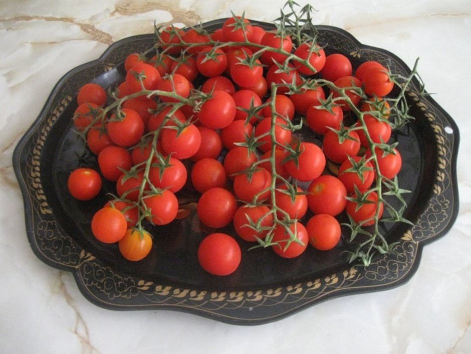 Домашние помидоры черри
