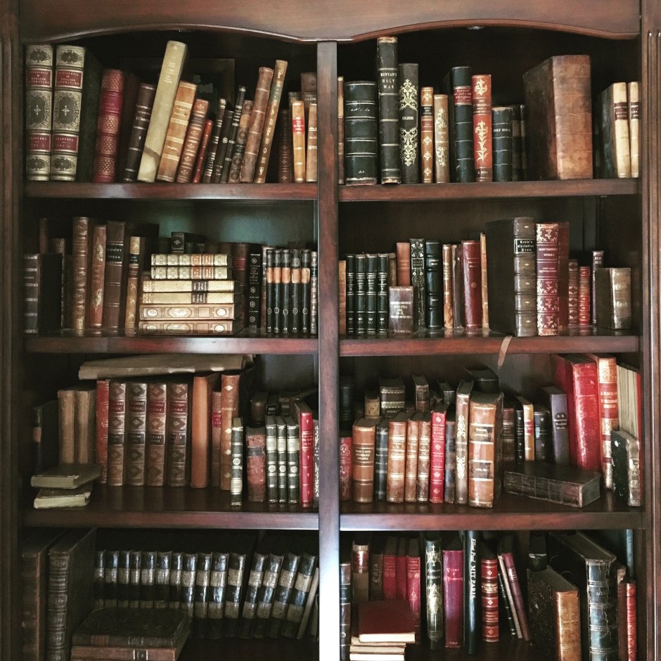 Домашняя библиотека интерьер