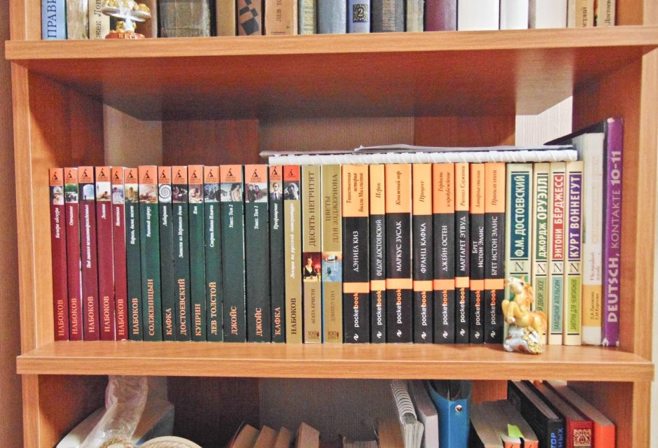 Моя книжная полка