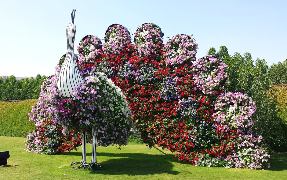 Miracle Garden Дубай