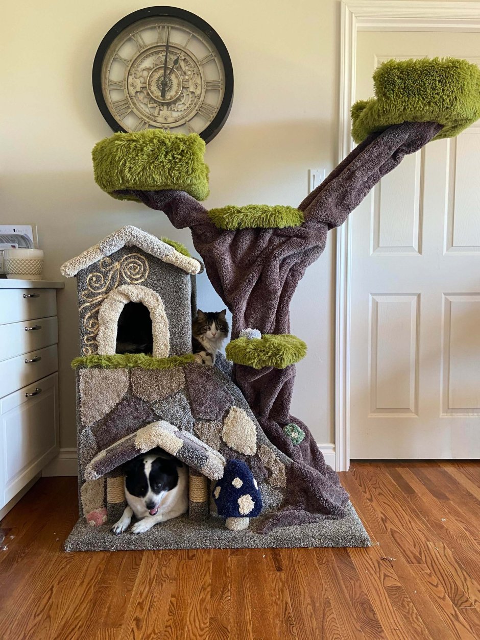 Когтеточка дерево для кошек