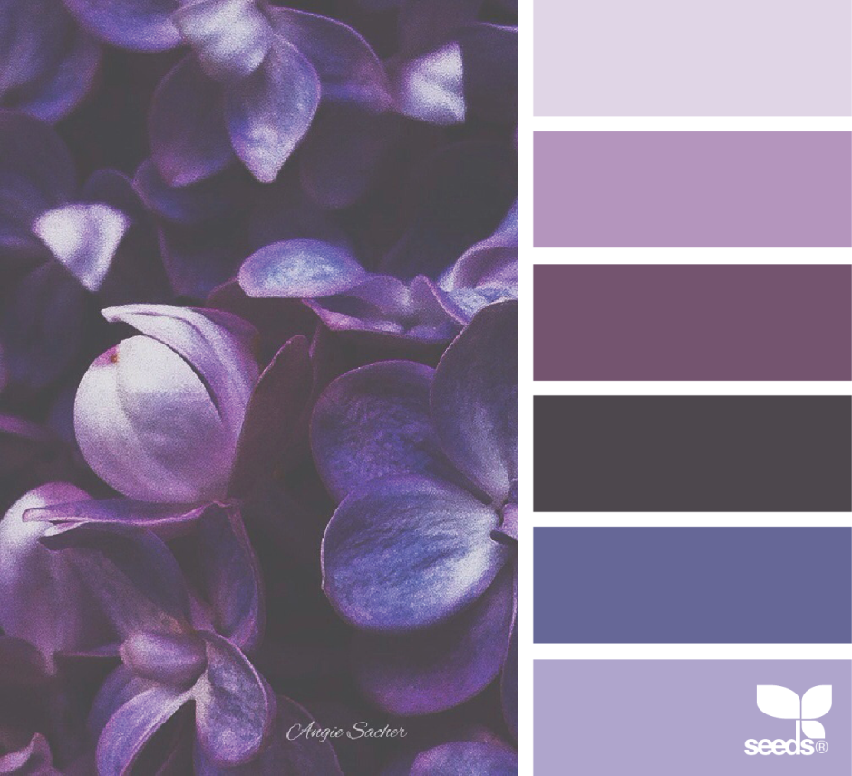 Лаванда Lavender aesthetic