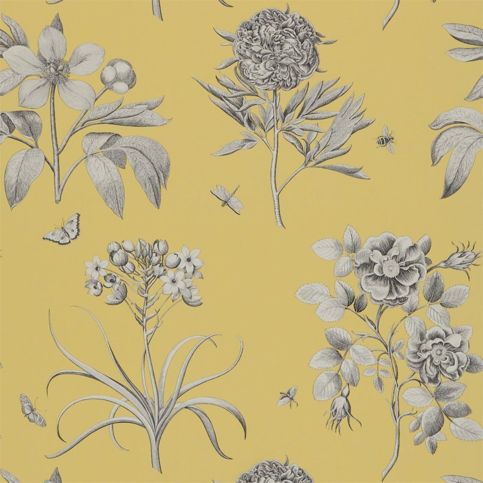 Обои Sanderson Parchment Flowers