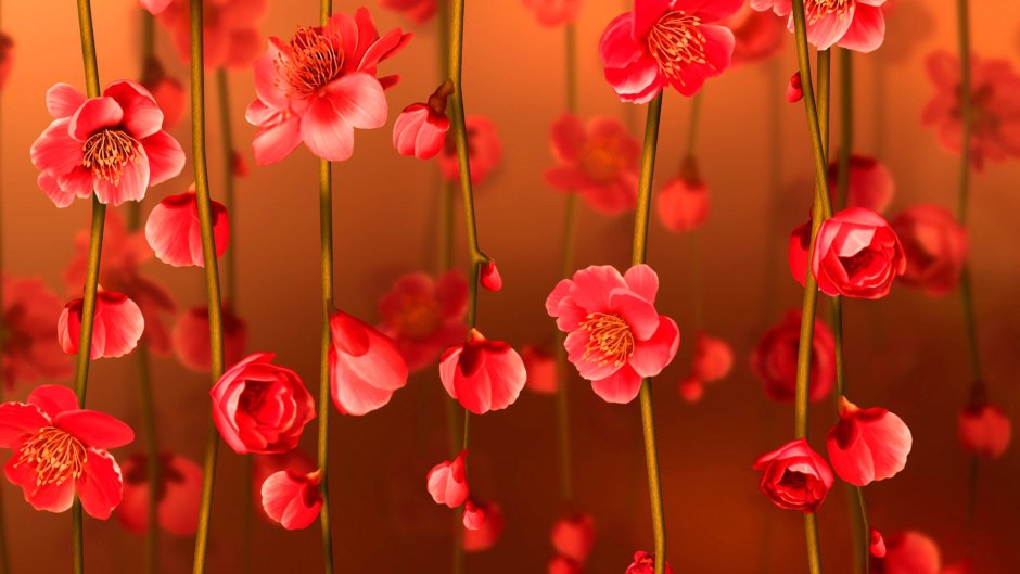 Цветы яркие горизонтальные