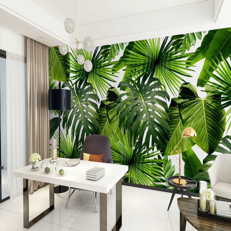 Монстера папоротник растения