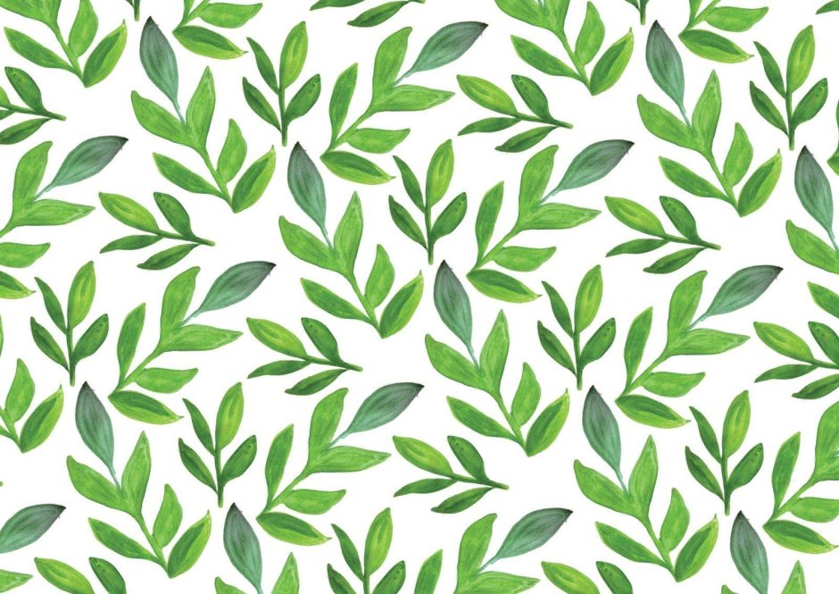 Фон белый с зеленым Минимализм