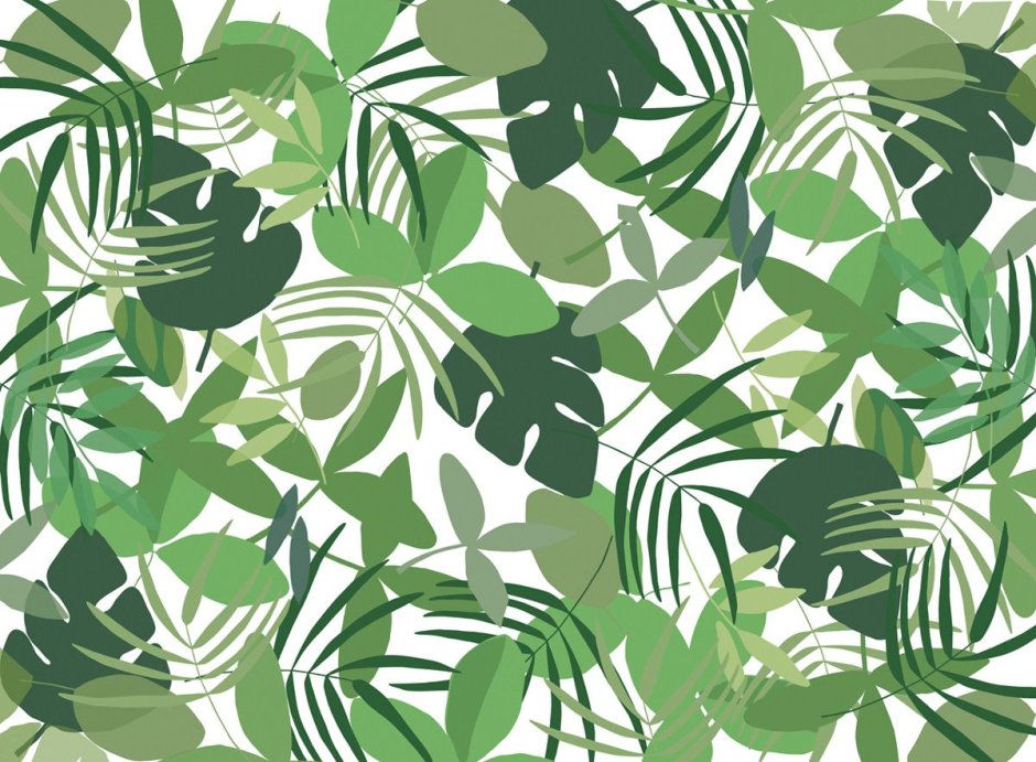 Мята перечная Эстетика