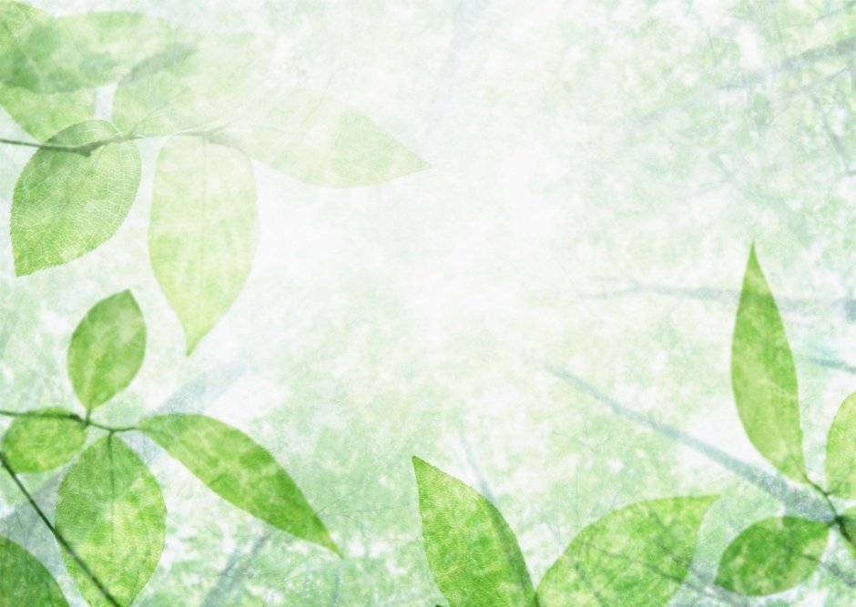 Зелень Эстетика