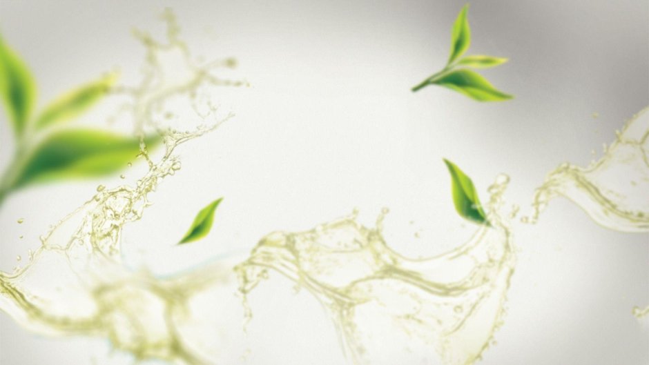 Цветы на бирюзовом фоне