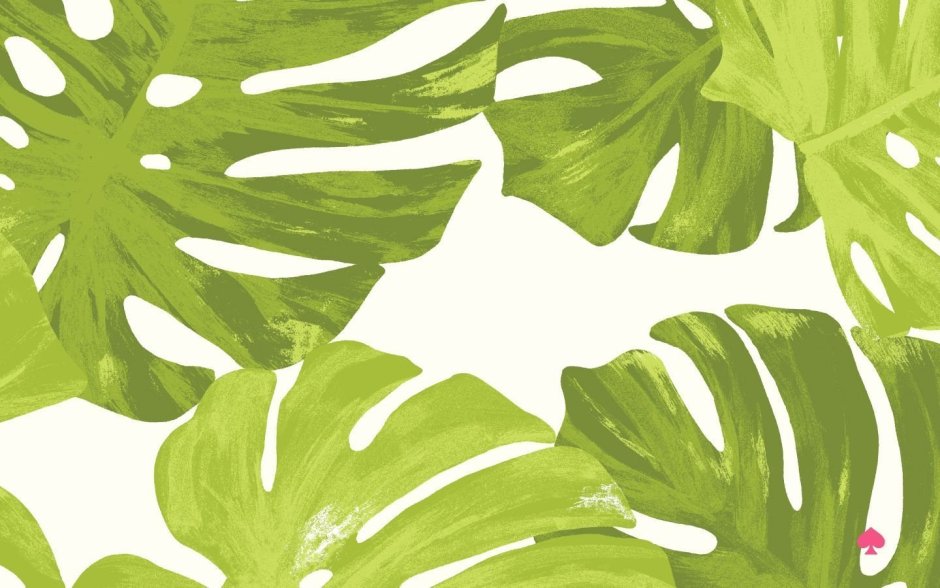 Бали монстера папоротник джунгли