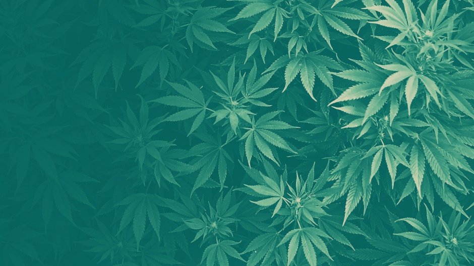 Бежевая комната с тропическим принтом