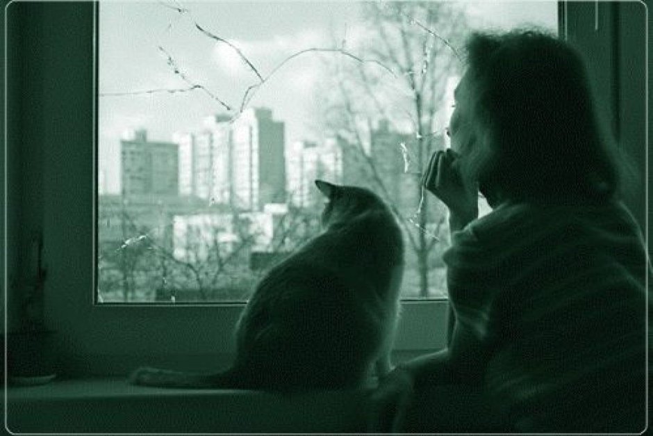 Девушка с кошкой у окна