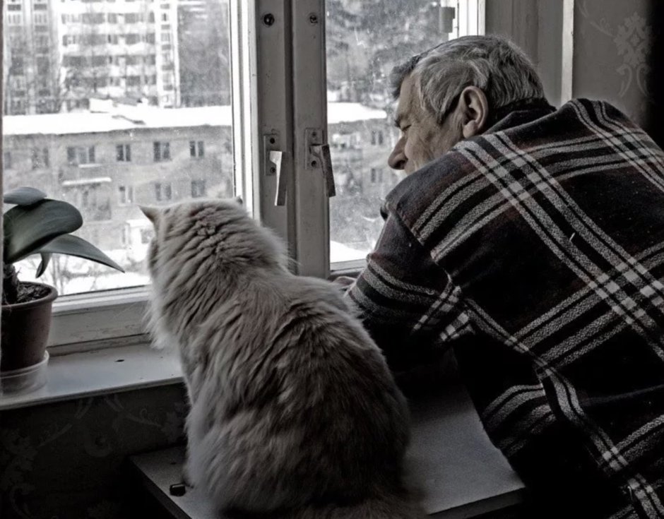 Старик у окна