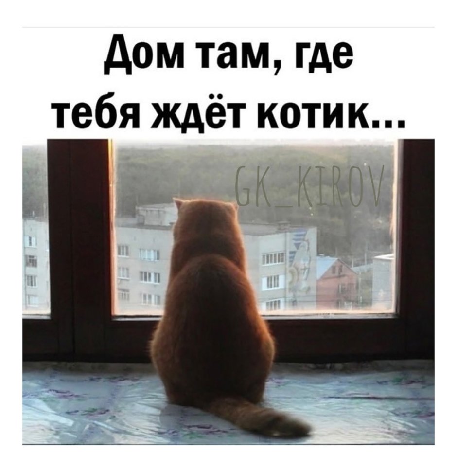 Жду тебя котик