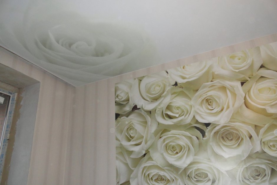 Натяжные потолки с белой розой