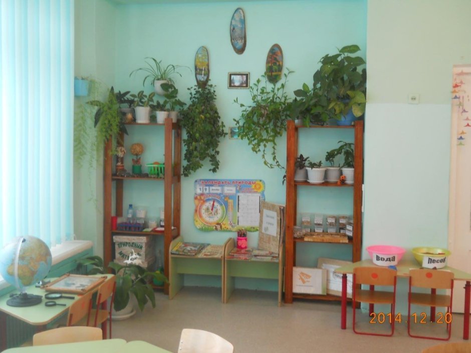 Уголок природы в детском саду