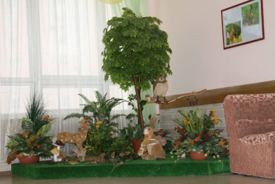 Зооуголок в детском саду