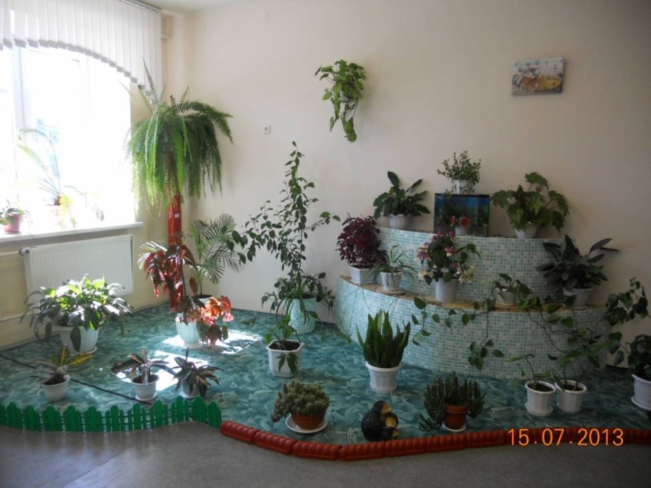 Зеленый уголок в школе