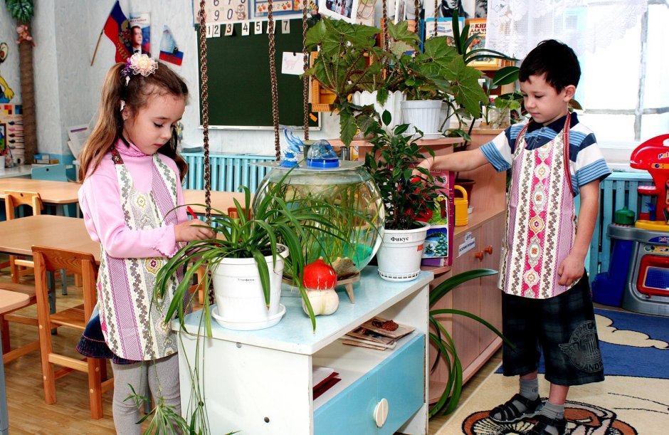 Фитостена джунгли