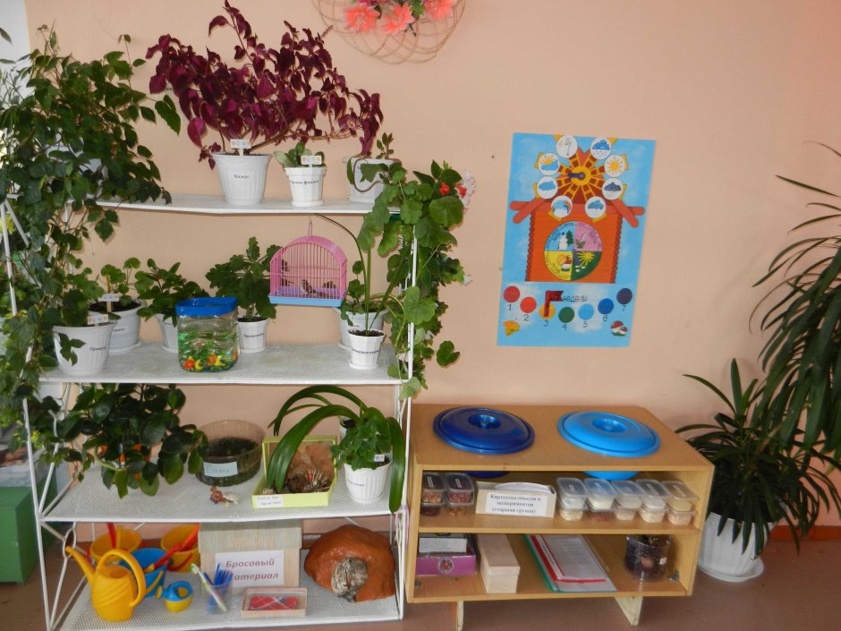 Phytodesign зимний сад
