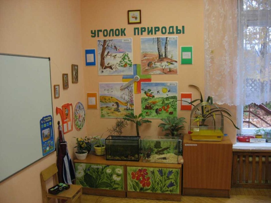Тенелюбивое растение для зимнего сада