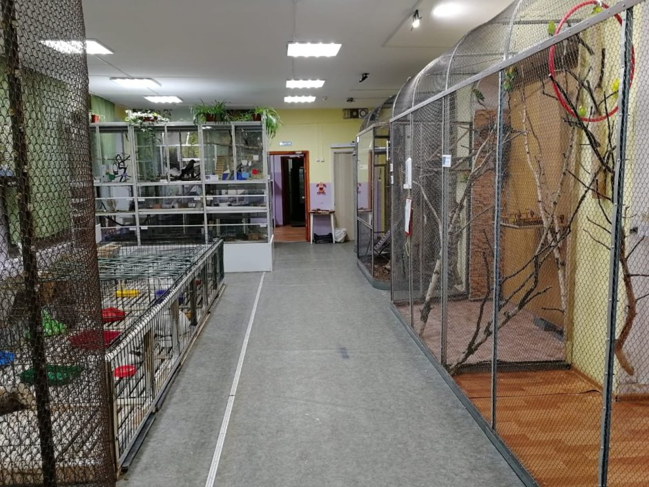 Цвет стен в детском саду