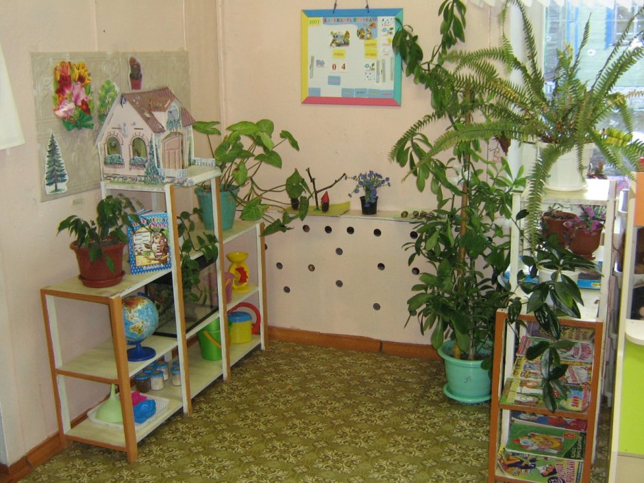 Озеленение квартиры
