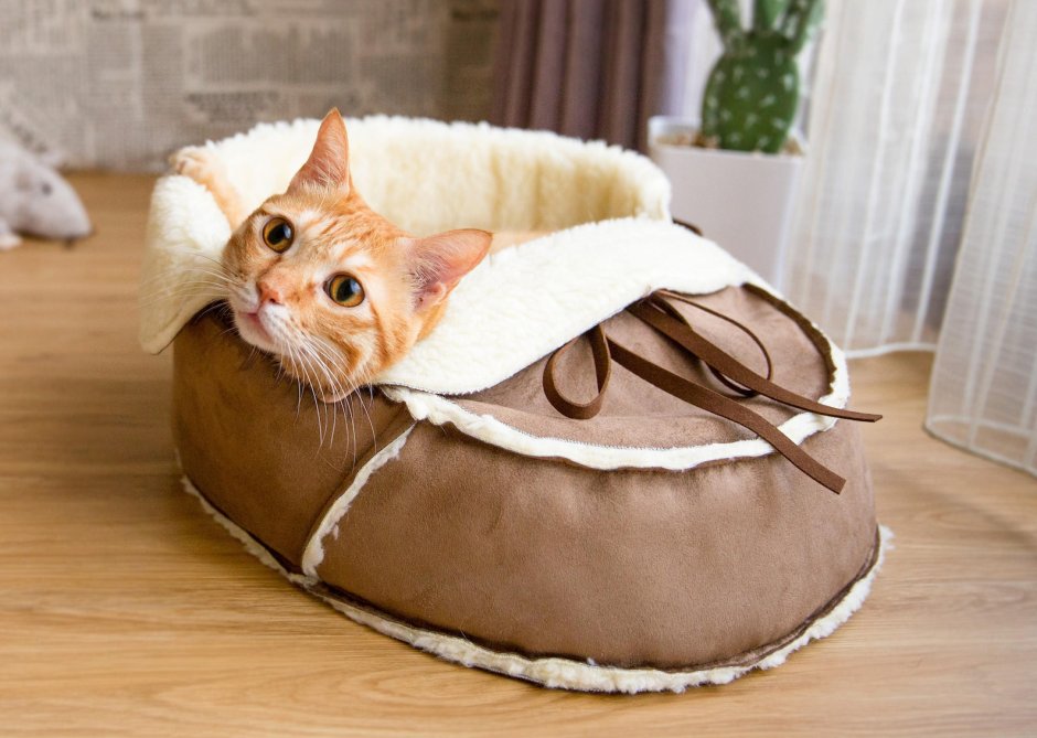 Королевские кровати для кошечек