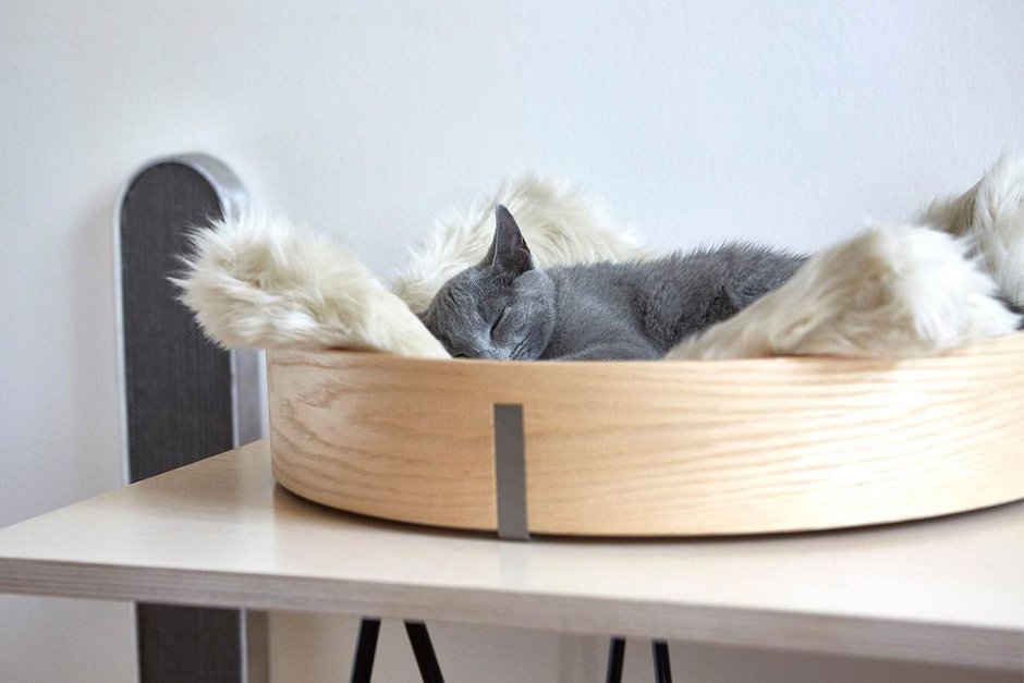 Лежанка для кота