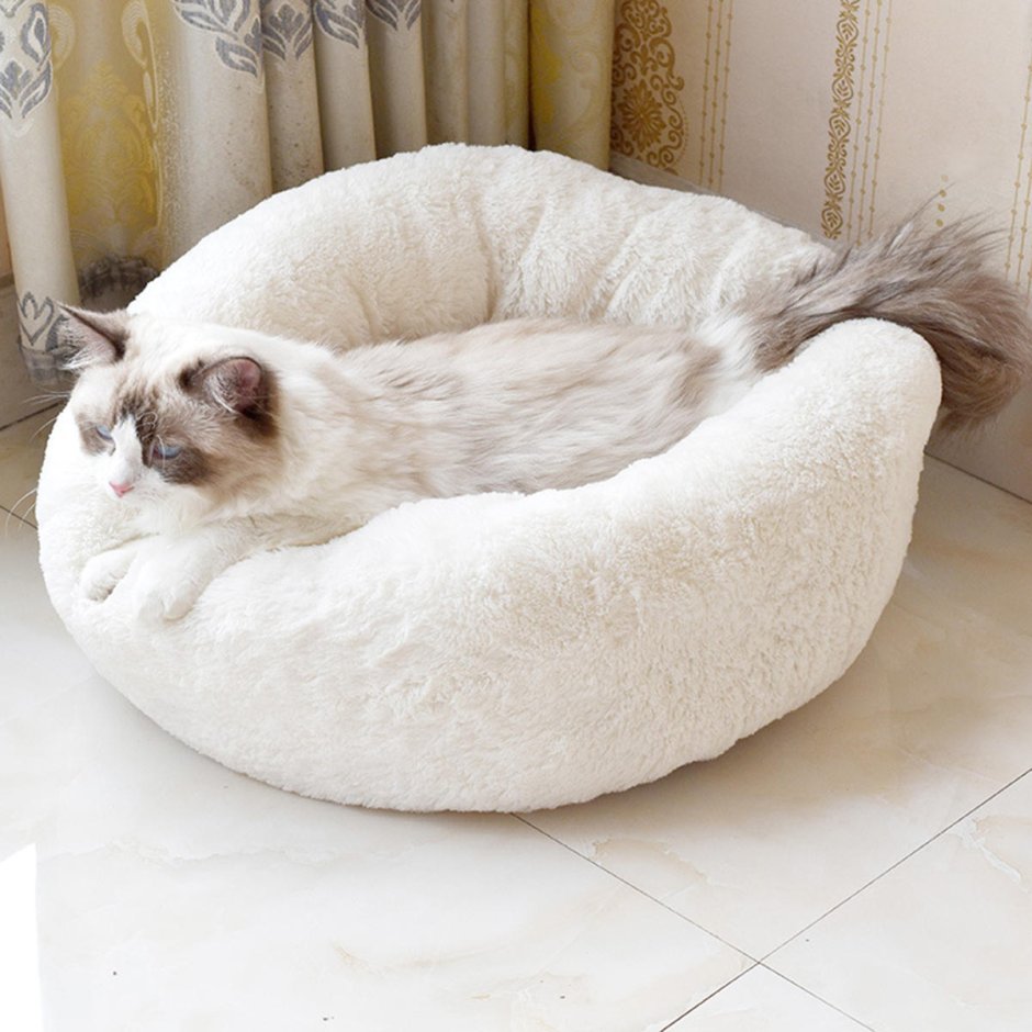 Лежанки для котов