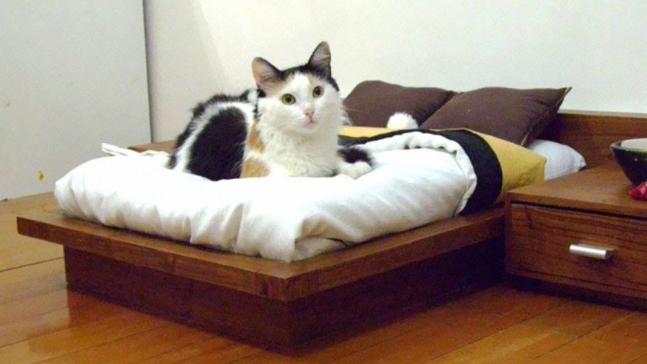 Спальня для кошки