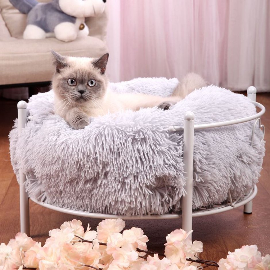 Кот в кровати