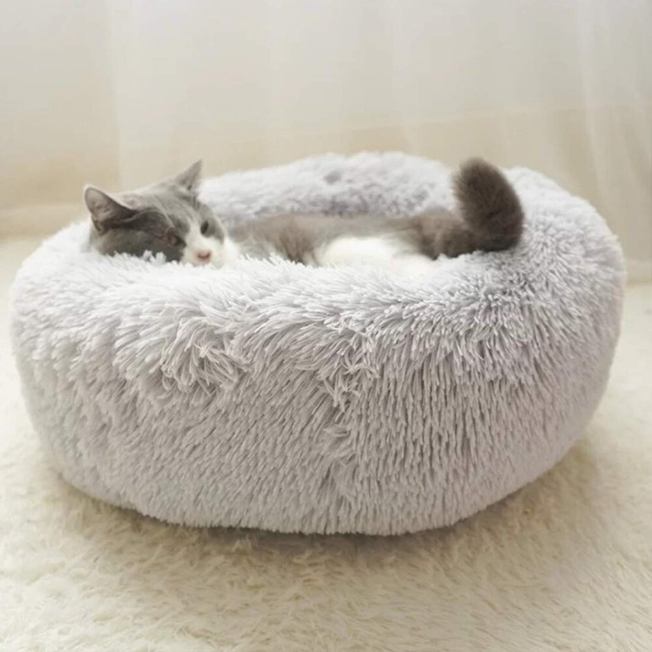 Мягкие лежанки для кошек