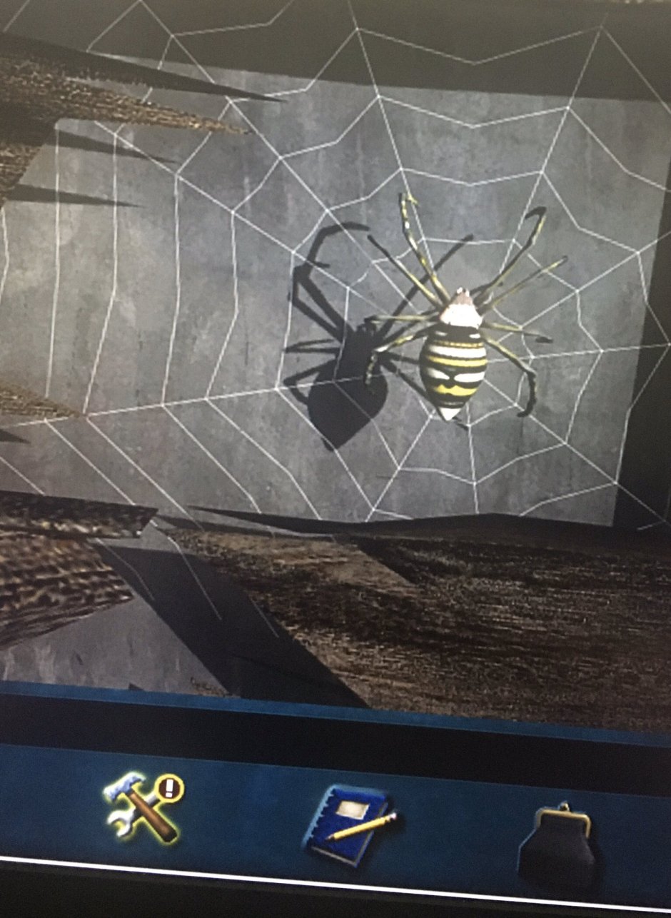 Огромный паук в углу комнаты