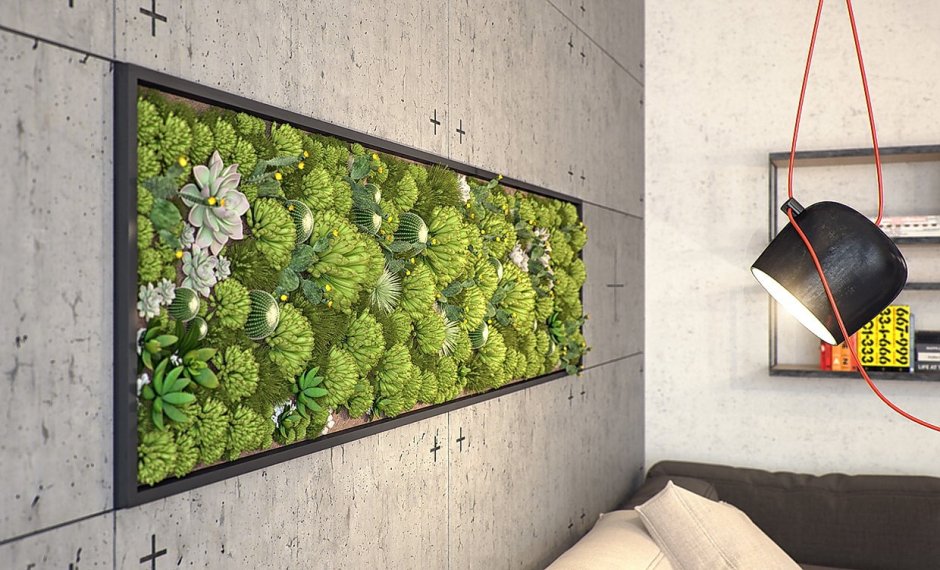 Живая стена из растений в квартире