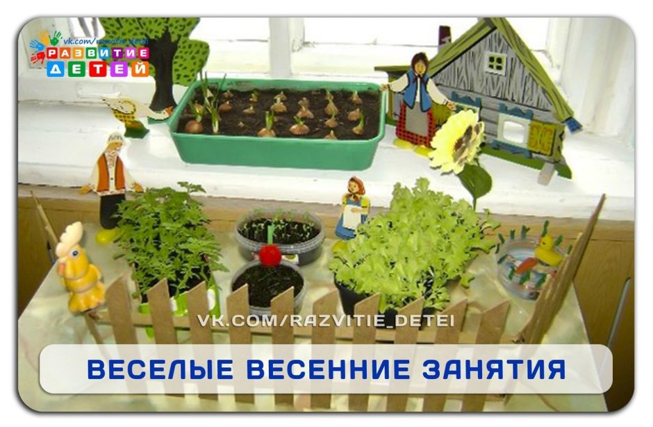 Огород в детском саду на улице