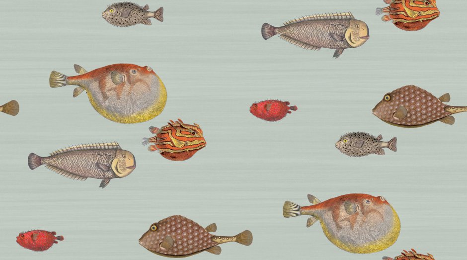 Fornasetti senza tempo флизелиновые Cole&son 97/10030 коллекции Fornasetti senza tempo