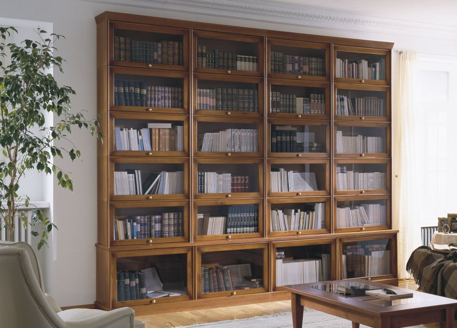 Итальянский книжный шкаф Барристер