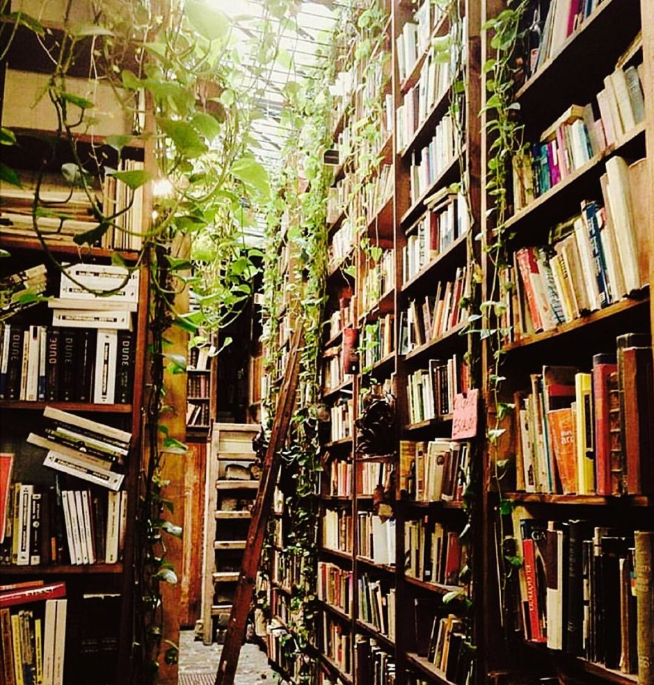 Книжные полки Эстетика